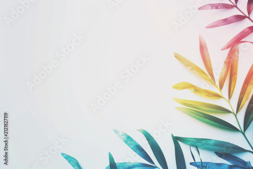 Colorful Tropical Leaves White Background