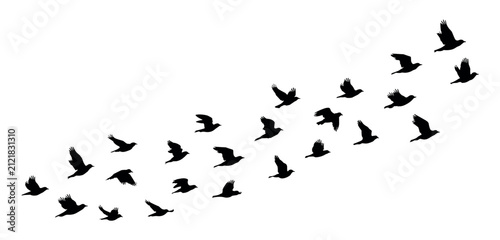 Canvastavla Flock of birds flying in formation, black silhouette