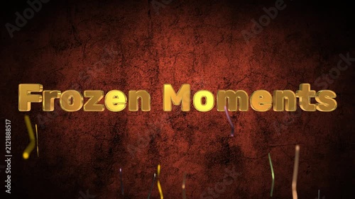 Frozen Moments text is displayed in a raised gold metallic font against a deep textured red background with scattered vertical light streaks to symbolize a pause in time and elegant permanence.