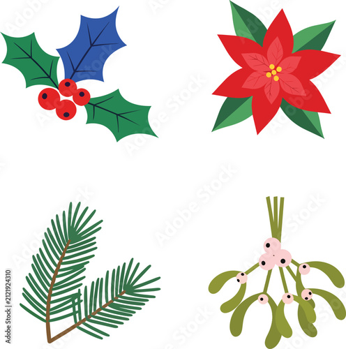 Christmas Botanical Elements with Poinsettia Holly Pine and Mistletoe