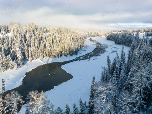 Bild auf Leinwand A winding river flows through a dense, snow-laden evergreen forest on a clear winter day