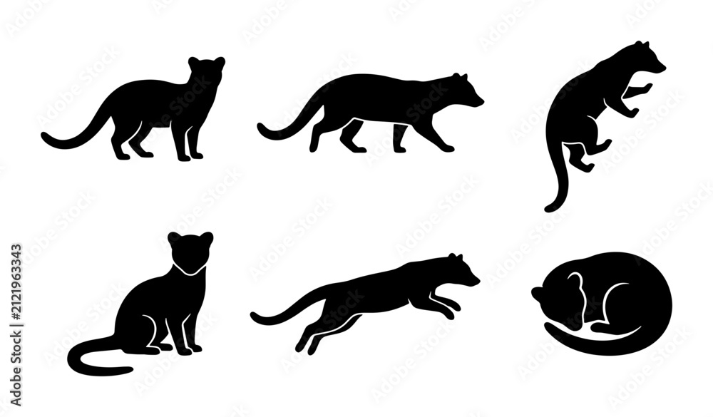 Obraz premium Ferret Silhouette Collection, Animal Vector Icons, Mammal Poses, Wildlife Graphics