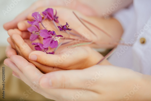 Small hands gently cradle vibrant purple wildflowers. The close-up captures tenderness, childhood curiosity, and the delicate beauty of nature in soft natural light.