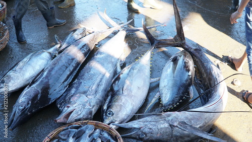 Quadro su tela large fish caught by fishermen