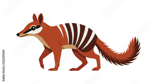Detailed Numbat Banded Anteater Marsupial Australian Animal Graphic Illustration Set on Plain White Background
