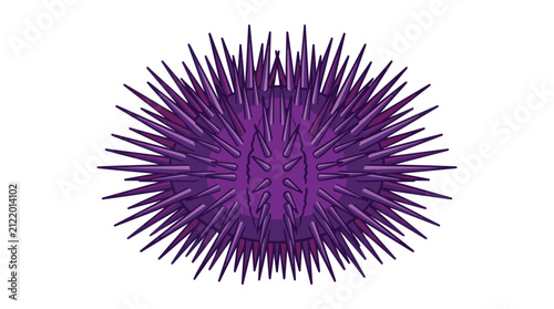 Detailed Spiky Purple Sea Urchin Graphic for Marine Biology Educational Projects and Coastal Nature Decoration