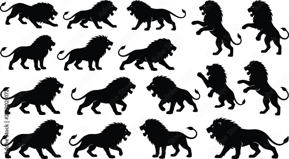 Obraz premium Set of fifteen black lion silhouettes in dynamic walking, roaring, and rearing poses, isolated on a white background for