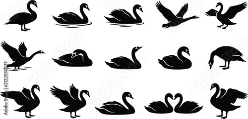 фотографія Swan, goose, cygnet, bird, silhouette, set, icon, vector, collection, wildlife,