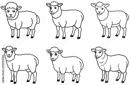 Photography sheep icon illustration