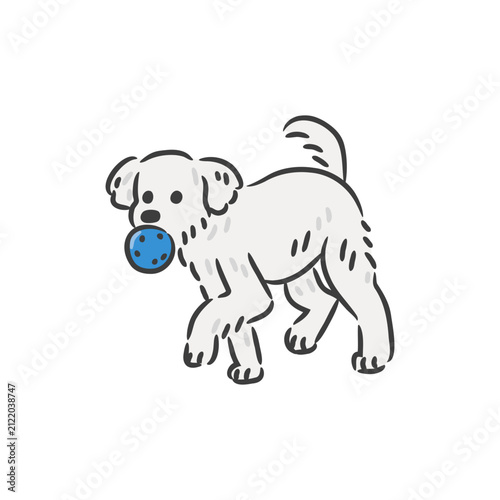 Fluffy white Maltese puppy holding blue ball in mouth vector.