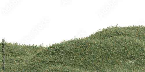 3d Field of dense green grass with tiny orange flowers, natural landscape element on transparent background