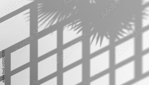 Overlay shadow of palm leaves and window frame on a plain background, natural light effect for design