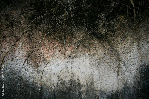 Dry Vines on Weathered Stone Wall