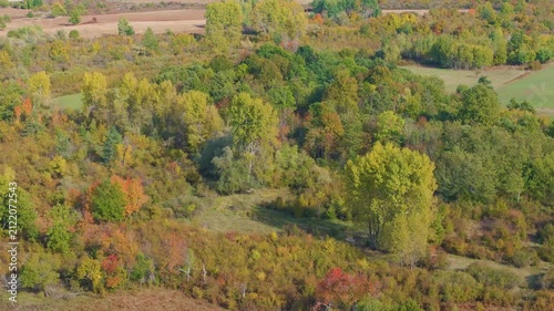 AERIAL: Mixed woodland, shrubs and small meadows displaying green, yellow, orange and red autumn colours near Otočac, Croatia. The varied canopy forms a rich seasonal mosaic across the countryside.
