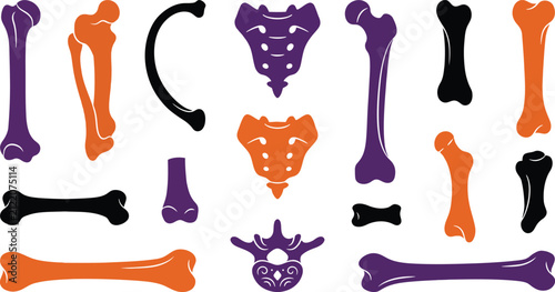 Konstfotografi Colorful vector skeleton bones illustration isolated on transparent background,