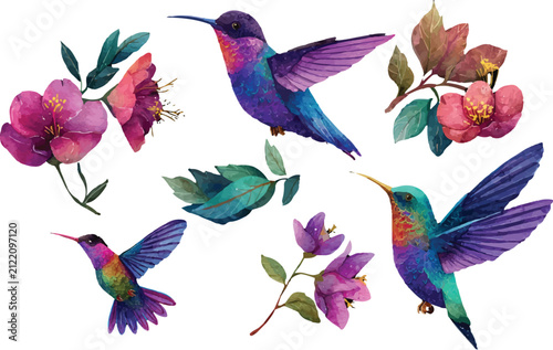 hummingbird and flowers
