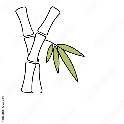 Bamboo stalk with leaves