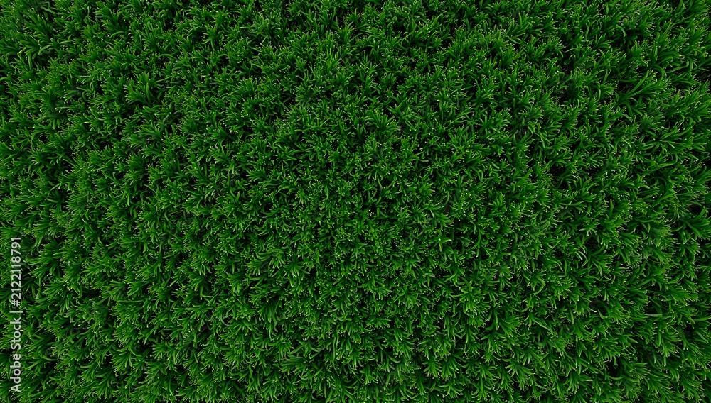Fototapeta premium Vibrant Green Grass Texture Background Full Frame Aerial View.