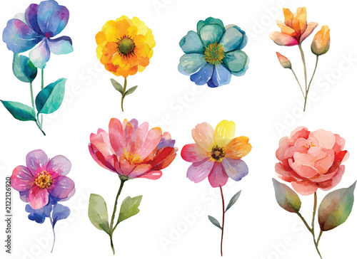 set of colorful flowers isolated