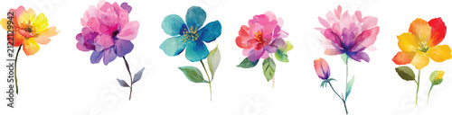 set of colorful flower watercolor splashes