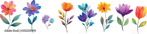 abstract colorful flowers