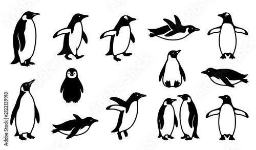 Foto Penguin Bird Icon Set, Antarctic Wildlife Standing Sliding Waddling Chick Poses