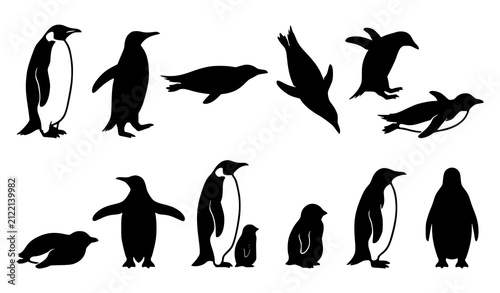 Foto Penguin Bird Silhouette Icon Set, Antarctic Wildlife Parent Chick Swimming Divin