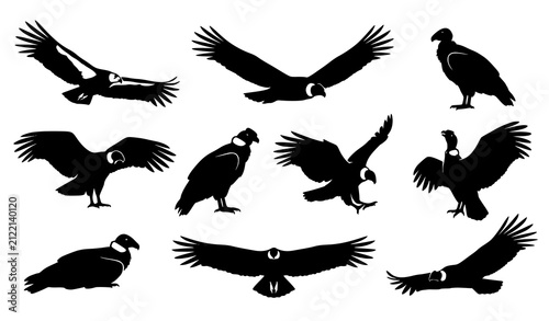 Fotografía Andean Condor Vulture Silhouette Icon Set, Bird Of Prey Flying Standing Poses Pi