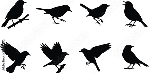 Foto Set of black small bird silhouettes in flying and perched poses on white backgro