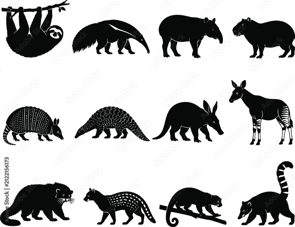 Fototapeta premium Set of black silhouettes of various exotic animals and mammals isolated on a white background