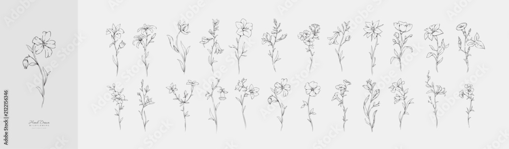 Fototapeta premium Set of various flowers and. Hand drawn floral collection for wedding invitation, wallpaper art or save the date card. Botanical