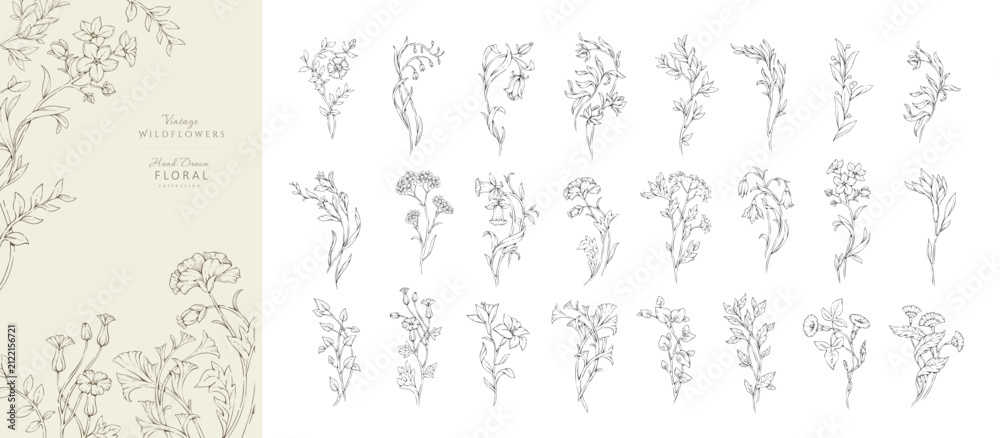 Obraz premium Set of whimsical doodle drawing various flowers and leaves. Luxury floral collection for wedding invitation, wallpaper art or save the date card. Botanical vector