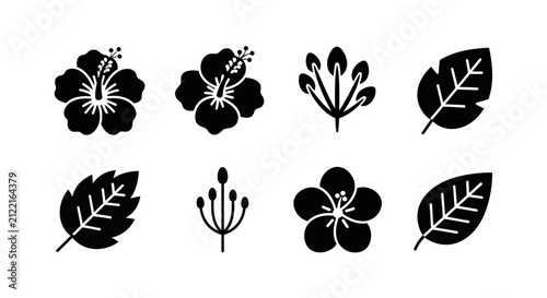 Hibiscus flower and tropical leaf icons.