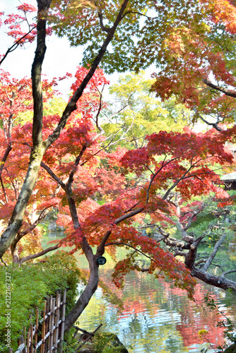 神戸相楽園の紅葉