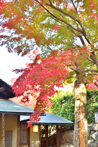神戸相楽園の紅葉