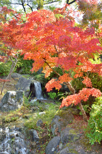 神戸相楽園の紅葉