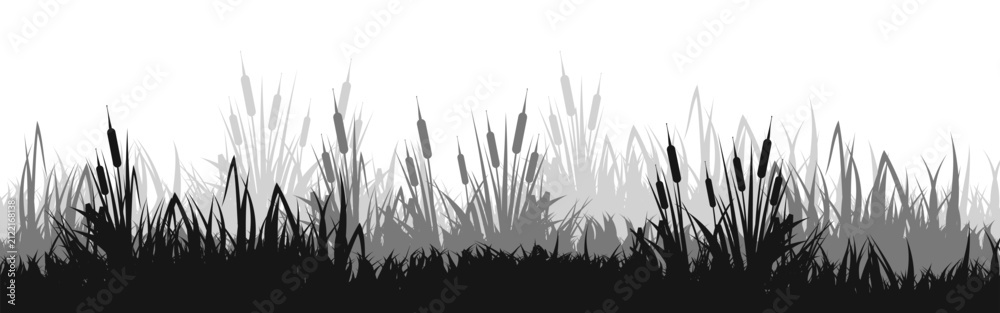 Obraz premium Meadow silhouette with grass, plants on plain. Panoramic summer lawn landscape with herbs, various weeds. Herbal border, frame element. Black horizontal banners. Vector illustration