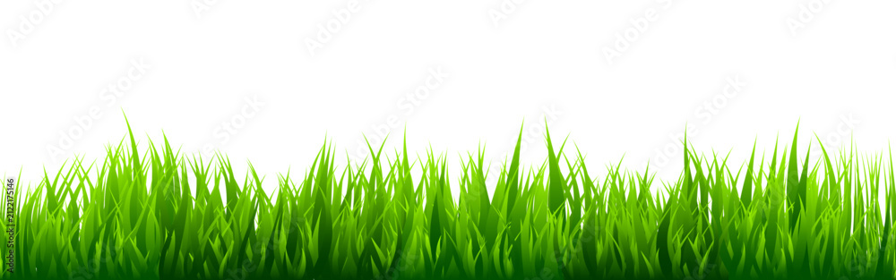 Naklejka premium Meadow silhouette with green grass, plants on plain. Panoramic summer lawn landscape with herbs, various weeds. Herbal border, frame element. Black horizontal banners. Vector illustration