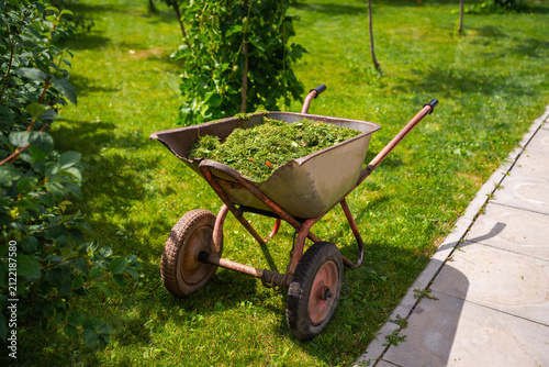 Bild auf Leinwand Old garden wheelbarrow with grass after lawn mower