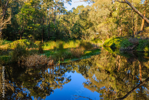 Принти на полотні Forest reflection in calm water at Kurth Kiln Regional Park, Victoria, Australia
