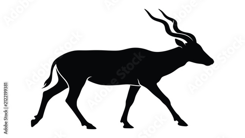 Photography Kudu bull displays impressive spiraled horns in this sharp black and white graphic silhouette