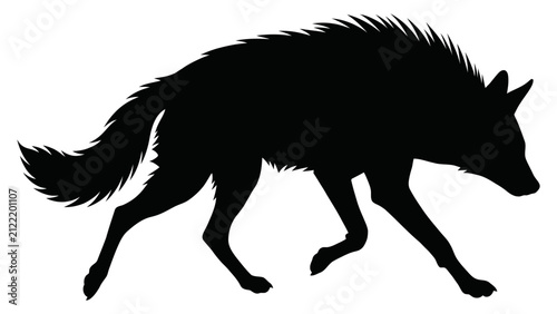 Foto Coyote silhouette stands in a profile orientation against a stark white backdrop