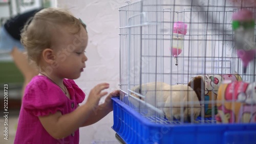 Cute toddler girl in a bright pink dress smiles and points at a fluffy guinea pig inside a cage during a visit to a petting zoo or animal cafe.