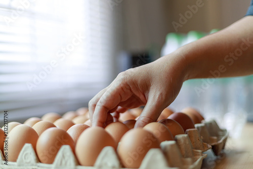 Hand Selecting Fresh Chicken Eggs from Egg Cartons