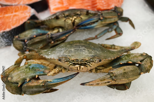 Crabs resting on ice among salmon pieces in a seafood market