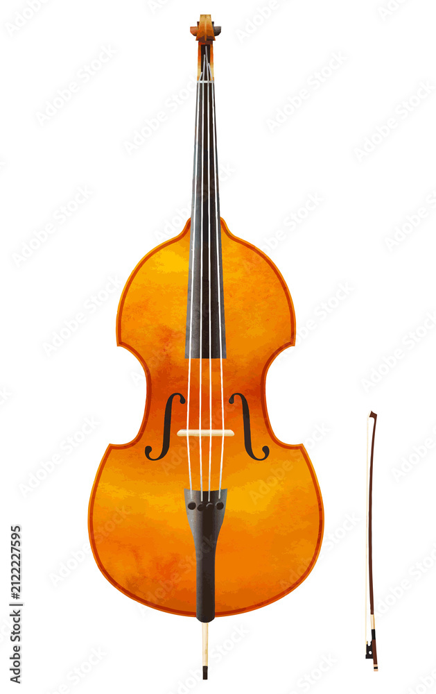 Fototapeta premium double bass and bow
