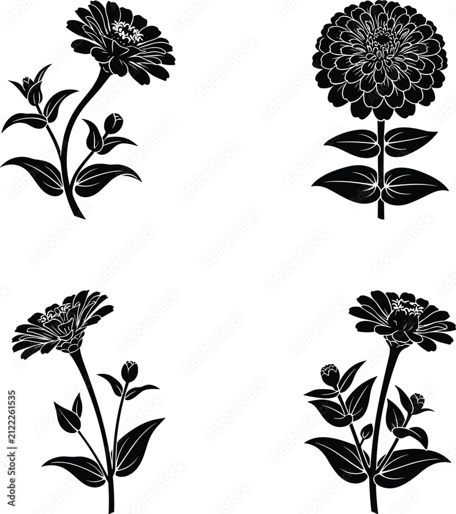 Obraz premium Zinnia Flower Silhouette Set – Four Elegant Blooming Plant Poses Isolated on White Background