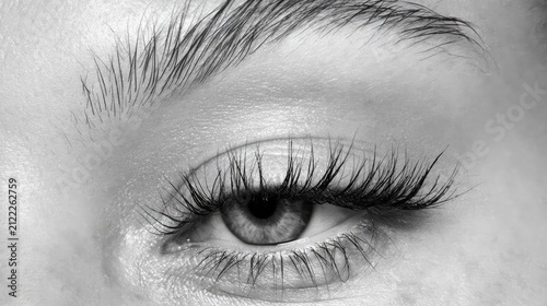 Close-Up Black and White Eye Image Highlighting Human Detail and Curved Eyelashes