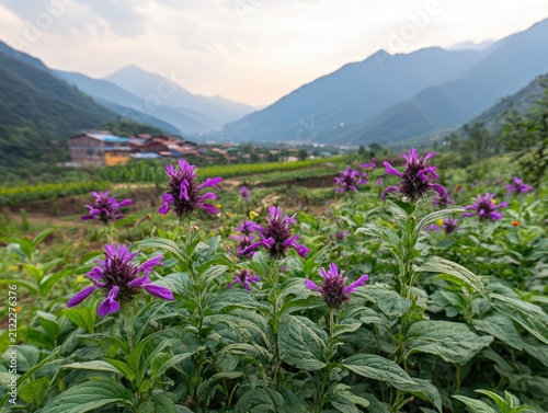 Vibrant purple flowers in serene landscape.