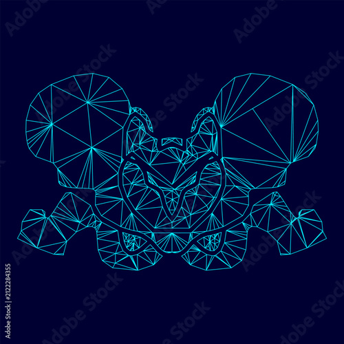 Fotografie Pelvis skeleton low poly triangulation triangulated polygonal electric cyan blue